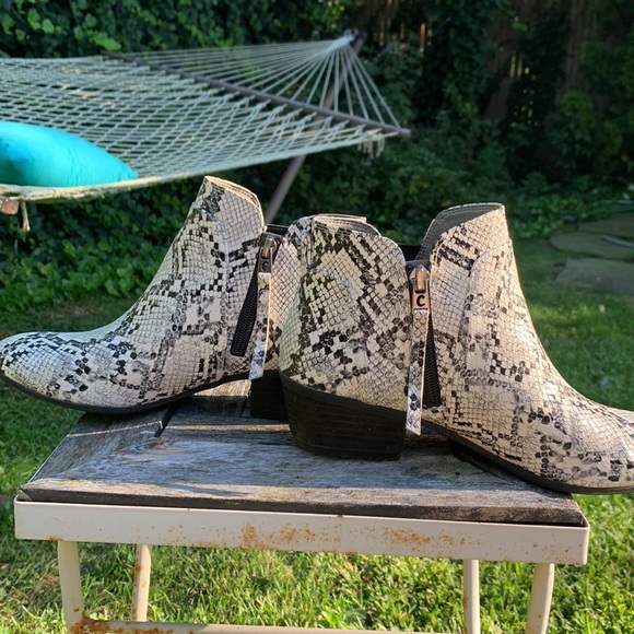 Circus Sam Edelman booties black & white zebra print 1 3/4 “ heel. Worn once - Picture 3 of 8